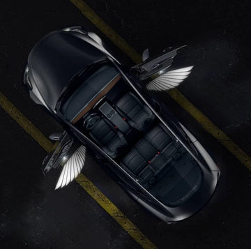 Tespart Angel Wings Door Welcome Lights for Model 3/Y/S/X