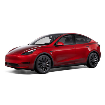 Model y